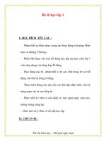 Giáo án chương trình mới: Lớp lá Bé đi học lớp 1 pps