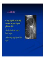 Chẩn doán hình ảnh : Gan - Mật part 2 docx