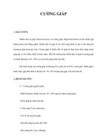 CƯỜNG GIÁP potx