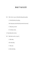 ĐAU VAI GÁY pdf