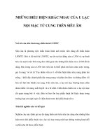 NHỮNG BIỂU HIỆN KHÁC NHAU CỦA U LẠC NỘI MẠC TỬ CUNG TRÊN SIÊU ÂM pps