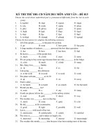 KỲ THI THỬ ĐH- CĐ NĂM 2011 MÔN ANH VĂN – ĐỀ 013 ppt