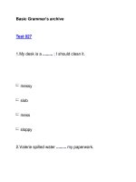 Basic Grammar''''s archiveTest 027 pdf