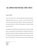 SỰ HÌNH THÀNH HỆ TIÊU HOÁ docx