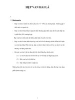 HẸP VAN HAI LÁI pdf