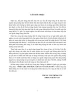 Nhiên liệu sinh học lợi ích và thách thức