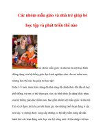 Các nhóm mẫu giáo và nhà trẻ giúp bé học tập và phát triển thế nào pptx