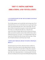 THỞ VÀ THÔNG KHÍ PHỔI docx