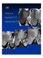 Chẩn doán hình ảnh : Gan - Mật part 5 pdf