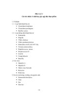 Các tác nhân vi sinh hay gây ngộ độc thực phẩm doc