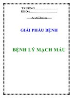 BỆNH LÝ MẠCH MÁU ppt