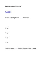 Basic Grammar''''s archiveTest 030 pdf