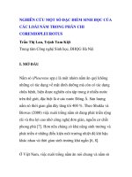 BÁO CÁO KHOA HỌC: 