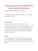 TÀI LIỆU SINH 10: SỰ TRAO ĐỔI CHẤT VÀ NĂNG LƯỢNG Ở CƠ THỂ SỐNGNGUYÊN PHÂN ppt