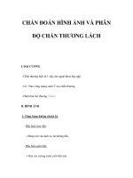 CHẨN ĐOÁN HÌNH ẢNH VÀ PHÂN ĐỘ CHẤN THƯƠNG LÁCH potx