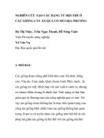 BÁO CÁO KHOA HỌC: 