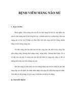 BỆNH VIÊM MÀNG NÃO MỦ docx