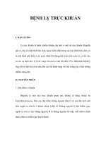 BỆNH LỴ TRỰC KHUẨN pptx