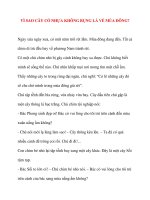 VÌ SAO CÂY CÓ NHỰA KHÔNG RỤNG LÁ VỀ MÙA ĐÔNG doc