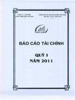 CÔNG TY cổ PHẦN PHÁT TRIỂN NHÀ THỦ đức báo cáo tài chính quý 1 năm 2011