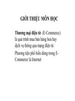 Bài giảng Thương mại điện tử : GIỚI THIỆU MÔN HỌC part 1 docx