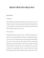 BỆNH VIÊM NÃO NHẬT BẢN potx