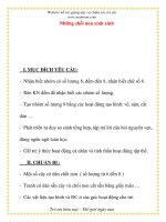 Giáo án chương trình mới: Lớp lá Những chồi non xinh xinh doc