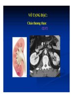 Chẩn đoán bằng hình ảnh : Siêu âm bụng part 10 pps