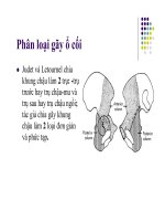 GÃY KHUNG CHẬU VÀ Ổ CỐI part 5 pot