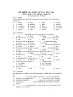 ĐỀ KIỂM TRA CHẤT LƯỢNG NĂM 2011 MÔN : TIẾNG ANH KHỐI D - Mã đề: 222 ppsx