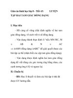 Giáo án hình học lớp 8 - Tiết 43: TẬP HAI TAM GIÁC ĐỒNG DẠNGLUYỆN pot