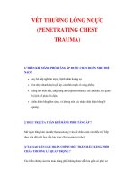 VẾT THƯƠNG LỒNG NGỰC ppsx