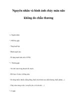 Nguyên nhân và hình ảnh chảy máu não không do chấn thương pdf