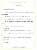 Giáo án chương trình mới: Lớp lá Con sâu háu ăn pdf