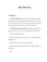 SỐC PHẢN VỆ docx