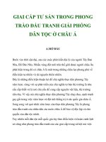 GIAI CẤP TƯ SẢN TRONG PHONG TRÀO ĐẤU TRANH GIẢI PHÓNG DÂN TỘC Ở CHÂU Á_1 doc