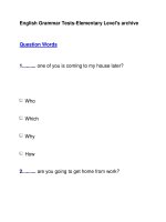 English Grammar Tests-Elementary Level''''s archiveQuestion Words pptx