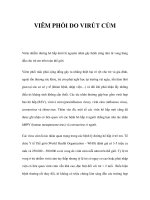 VIÊM PHỔI DO VIRÚT CÚM pot