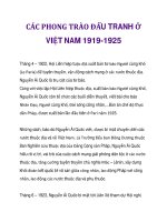 CÁC PHONG TRÀO ĐẤU TRANH Ở VIỆT NAM 1919-1925_2 pdf