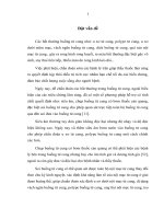 Đối chiếu hình ảnh x quang, siêu âm với hình ảnh buồng tử cung qua soi buồng tử cung tại bệnh viện phụ sản trung ương