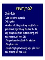 Viêm tụy cấp và mãn tính part 2 docx