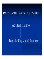 Chẩn đoán bằng hình ảnh : Siêu âm bụng part 6 pps