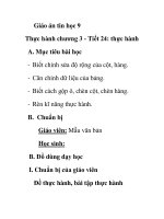 Giáo án tin học 9 - Thực hành chương 3 - Tiết 24: thực hành pps