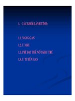 Chẩn doán hình ảnh : Gan - Mật part 3 pps