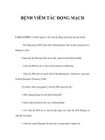 BỆNH VIÊM TẮC ĐỘNG MẠCH pot