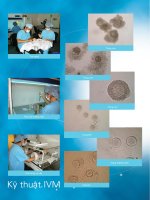 KẾT QUẢ SẢN KHOA CỦA CÁC BÉ SINH RA TỪ KỸ THUẬT IVM pps