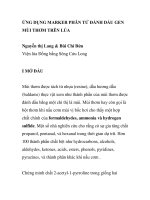 BÁO CÁO KHOA HỌC: 