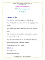 Giáo án chương trình mới: Lớp lá Đề tài: Ném xa bằng một tay pdf