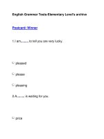 English Grammar Tests-Elementary Level''''s archivePostcard: Winner docx