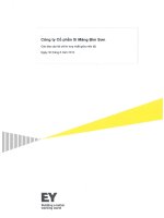 công ty cổ phần xi măng bỉm sơn báo cáo tài chính hợp nhất giữa niên độ 30 tháng 6 năm 2013